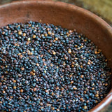 Quinoa, Black - Rancho Gordo