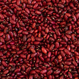 Rojo de Suelo Bean - Rancho Gordo