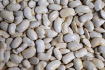 Royal Corona Bean - Rancho Gordo