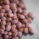 Santa Maria Pinquito Bean - Rancho Gordo