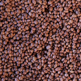 Santa Maria Pinquito Bean - Rancho Gordo