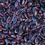 Scarlet Runner Bean - Rancho Gordo
