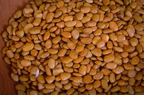 Tepary Bean (Brown Tepary) - Rancho Gordo