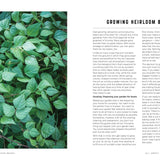 The Rancho Gordo Heirloom Bean Guide - Rancho Gordo
