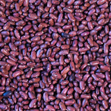 Tuscan Red Bean - Rancho Gordo