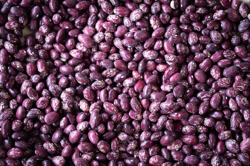 Whipple Bean - Rancho Gordo