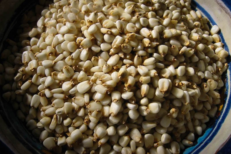 White Corn Posole/Prepared Hominy - Rancho Gordo